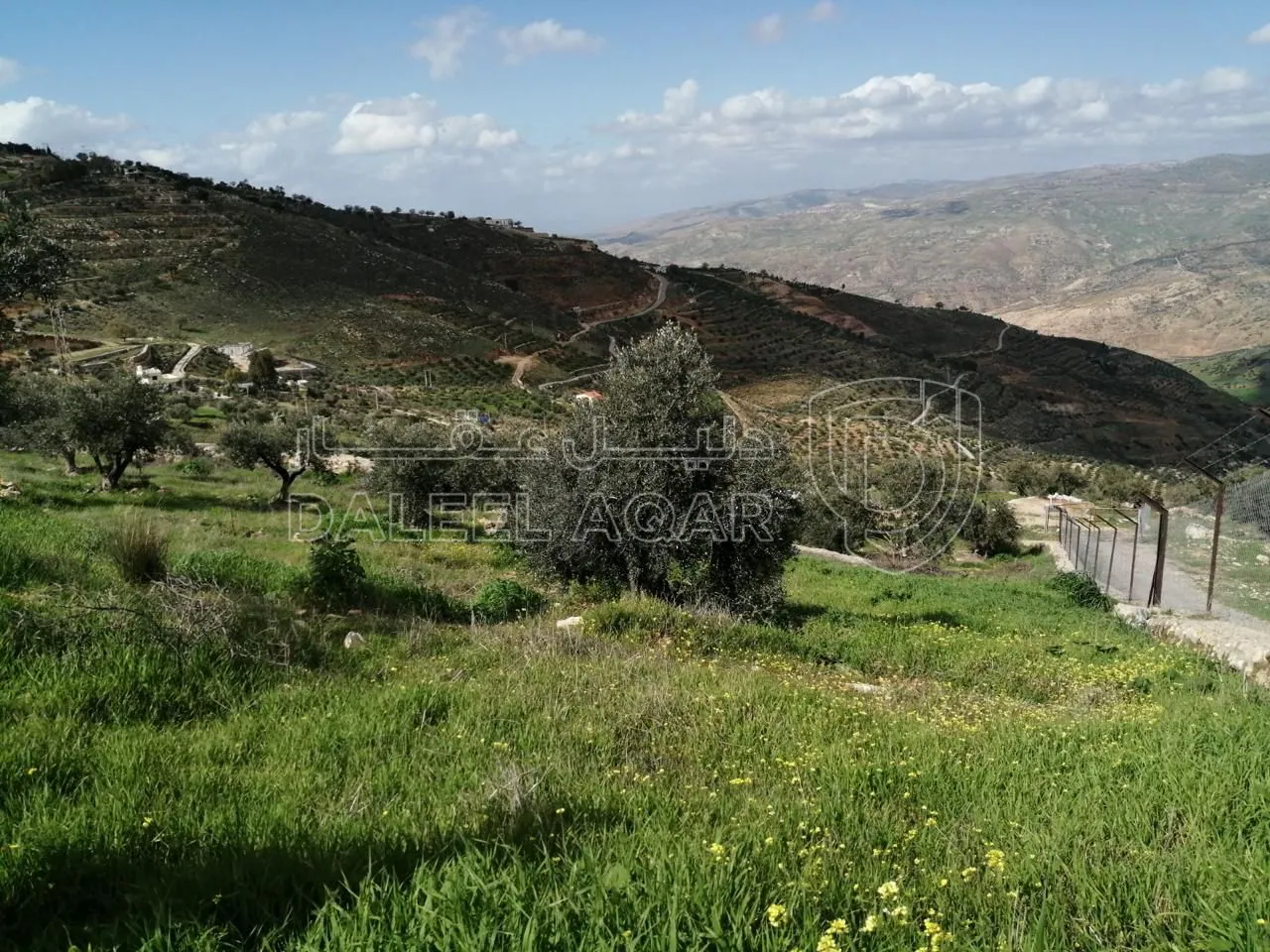 مزرعة/شاليه في حوض ابو بصيلة على طريق الماسورة في الصبيحي - السلط - 90,000 دأ - صورة 1